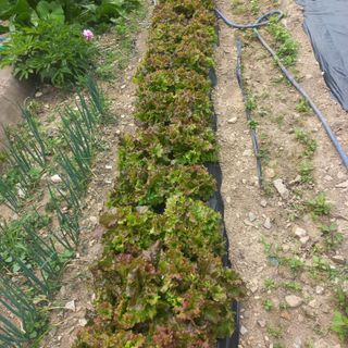 김상선님의 자유주제 · 자유게시판 작성글 사진