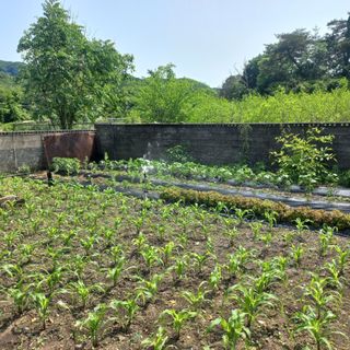 김상선님의 자유주제 · 자유게시판 작성글 사진
