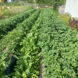 김상선님의 자유주제 · 자유게시판 작성글 사진