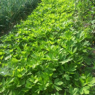 김상선님의 자유주제 · 자유게시판 작성글 사진