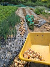 팜모닝 자유주제·자유게시판 게시글 이미지