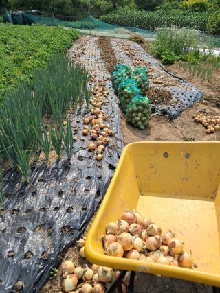 이용호님의 자유주제 · 자유게시판 작성글 사진