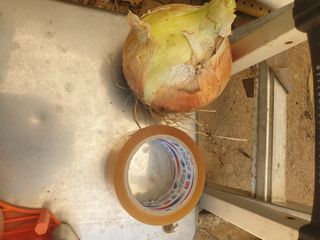 더디기농부님의 자유주제 · 사진전 작성글 사진