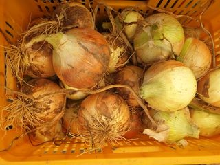 더디기농부님의 자유주제 · 사진전 작성글 사진