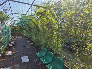 삼밭골자연인님의 6월 내 작물 자랑하기🌱 · 참여글 작성글 사진