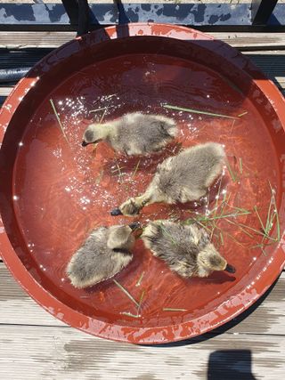 사과짱님의 자유주제 · 자유게시판 작성글 사진