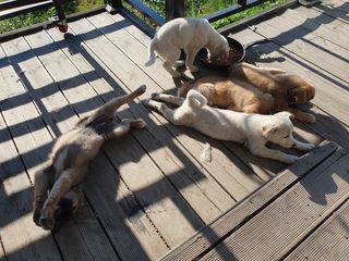 사과짱님의 자유주제 · 자유게시판 작성글 사진