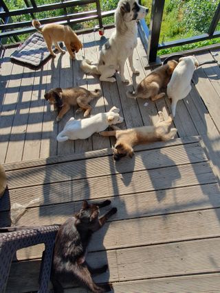 사과짱님의 자유주제 · 자유게시판 작성글 사진