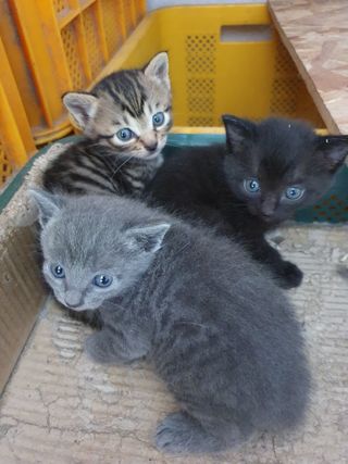 사과짱님의 자유주제 · 자유게시판 작성글 사진