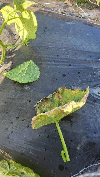 최승균님의 자유주제 · 건의해요 작성글 사진