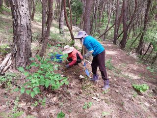 김영제아침향토가수님의 6월 내 작물 자랑하기🌱 · 참여글 작성글 사진