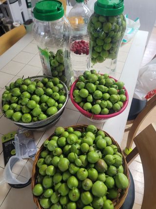 김성명님의 사과 · 영농일지 작성글 사진