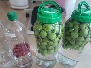 김성명님의 사과 · 영농일지 작성글 사진