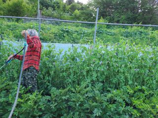 이박농장님의 자유주제 · 자유게시판 작성글 사진