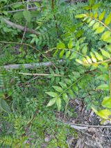 팜모닝 기타작물·영농일지 게시글 이미지