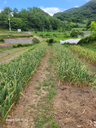 방형달님의 6월 내 작물 자랑하기🌱 · 참여글 작성글 사진