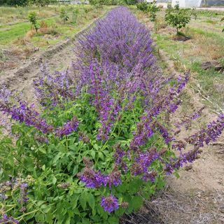 박수연님의 자유주제 · 자유게시판 작성글 사진