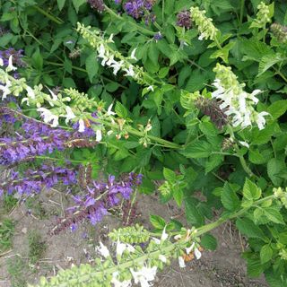 박수연님의 자유주제 · 자유게시판 작성글 사진