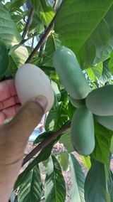 팜모닝 자유주제·자유게시판 게시글 이미지