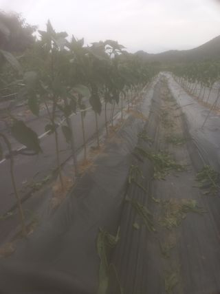 알 수 없음님의 자유주제 · 자유게시판 작성글 사진