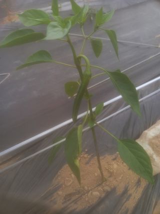 알 수 없음님의 자유주제 · 자유게시판 작성글 사진