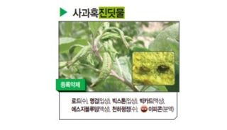 대산농사대장님의 고추 · 비료•농약 작성글 사진