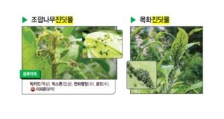 대산농사대장님의 고추 · 비료•농약 작성글 사진