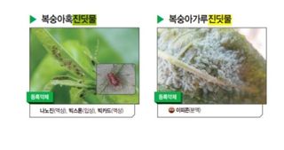 대산농사대장님의 고추 · 비료•농약 작성글 사진