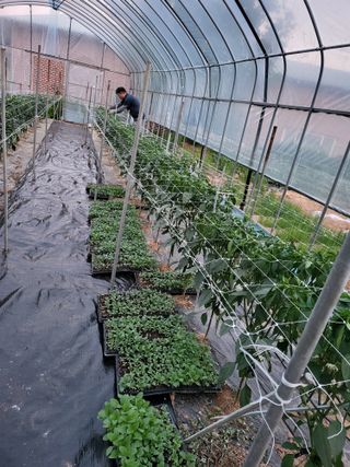 유경임님의 6월 내 작물 자랑하기🌱 · 참여글 작성글 사진