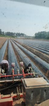 팜모닝 콩·영농일지 게시글 이미지