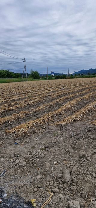 펠렛전문이부장님의 자유주제 · 자유게시판 작성글 사진