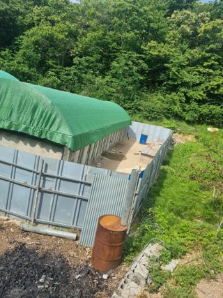 오소리와꿀벌들님의 자유주제 · 자유게시판 작성글 사진