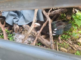 오소리와꿀벌들님의 자유주제 · 자유게시판 작성글 사진