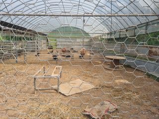 오소리와꿀벌들님의 자유주제 · 자유게시판 작성글 사진