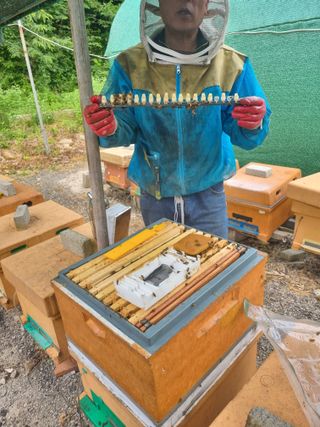 오소리와꿀벌들님의 자유주제 · 자유게시판 작성글 사진