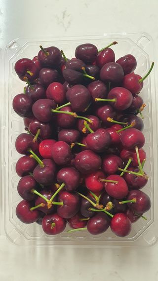 박만길님의 자유주제 · 자유게시판 작성글 사진