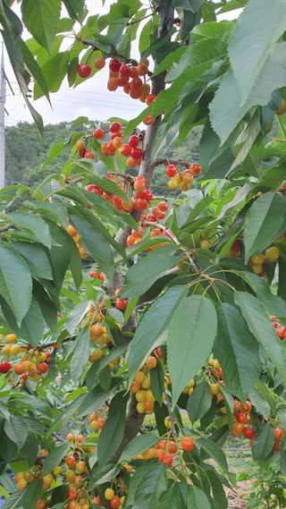 박만길님의 자유주제 · 자유게시판 작성글 사진