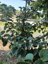 팜모닝 자유주제·자유게시판 게시글 이미지