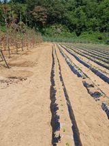 팜모닝 자유주제·사진전 게시글 이미지