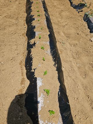 김대일님의 자유주제 · 사진전 작성글 사진