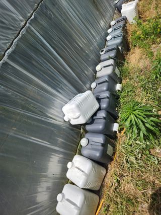 진.님의 자유주제 · 자유게시판 작성글 사진