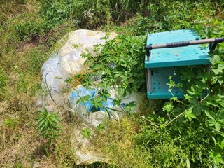 진.님의 자유주제 · 자유게시판 작성글 사진