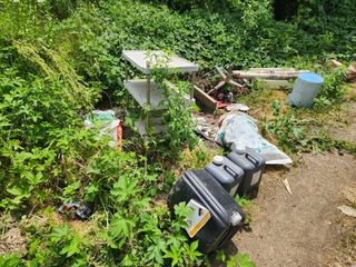 진.님의 자유주제 · 자유게시판 작성글 사진