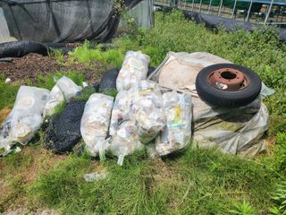 진.님의 자유주제 · 자유게시판 작성글 사진