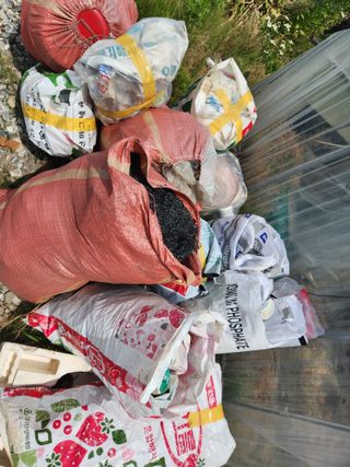 진.님의 자유주제 · 자유게시판 작성글 사진