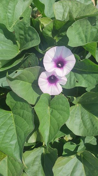 유형철님의 자유주제 · 자유게시판 작성글 사진