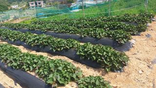 유형철님의 자유주제 · 자유게시판 작성글 사진