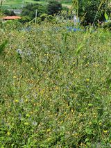 팜모닝 자유주제·자유게시판 게시글 이미지