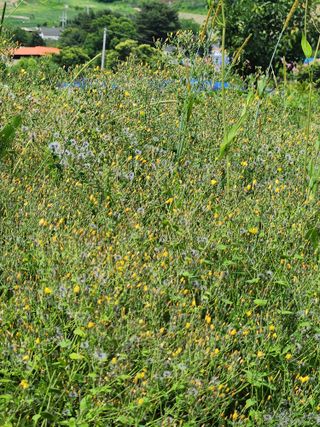 귀요미맘님의 자유주제 · 자유게시판 작성글 사진