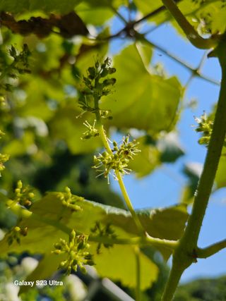 송운님의 자유주제 · 자유게시판 작성글 사진